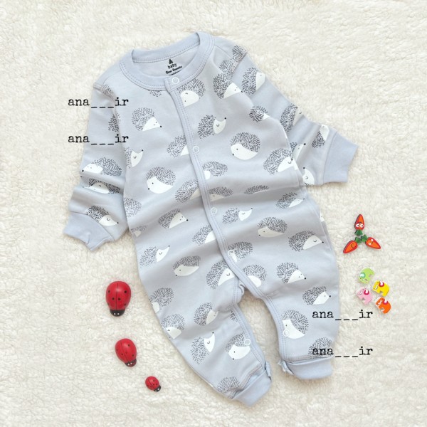 سرهمی جوجه تیغی