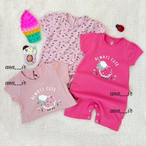 جفت رامپر ببعی