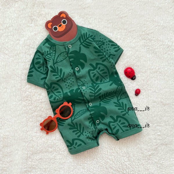 رامپر برگ انجیری