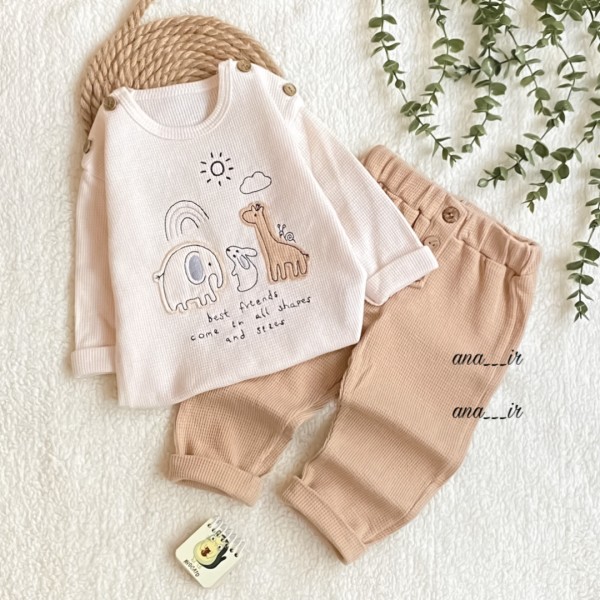 ست بیسکوئیتی