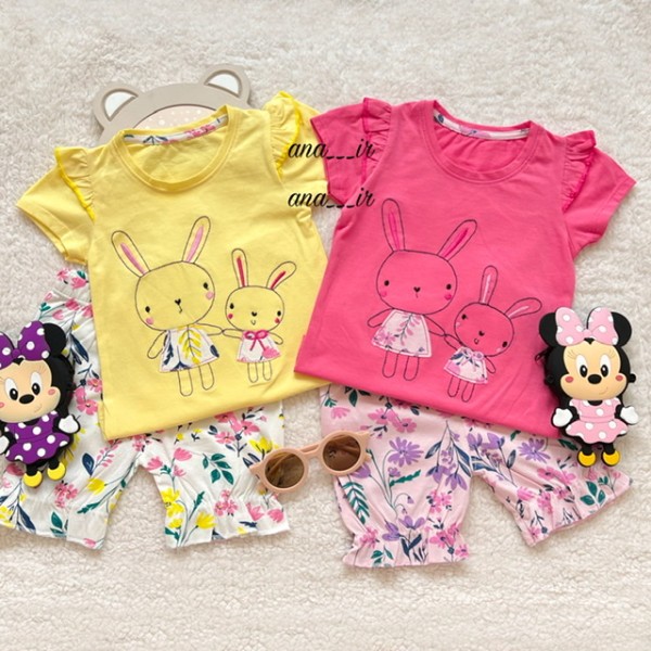 ست خرگوش گلگلی