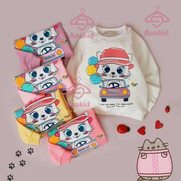 تک بلوز گربه