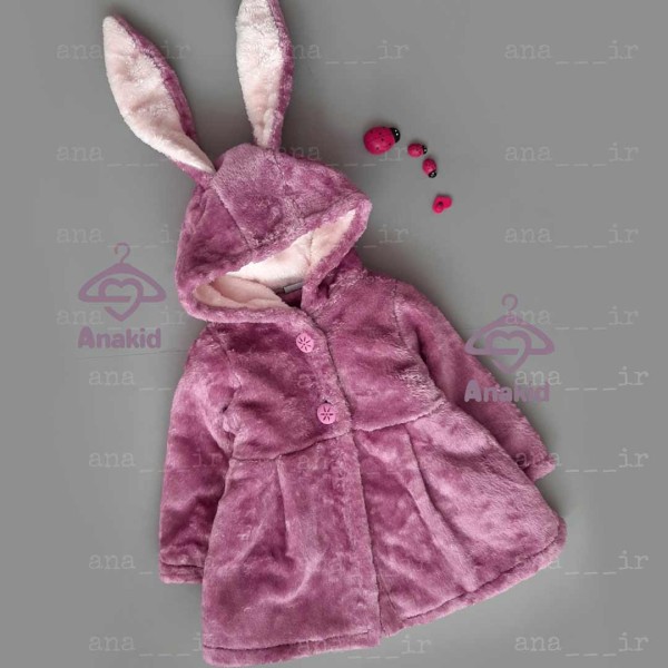 پالتو خرگوشی