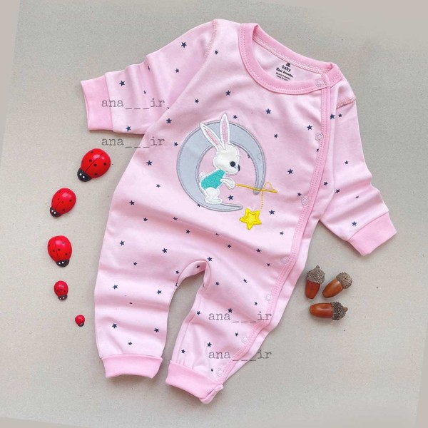 سرهمی خرگوش ستاره دار