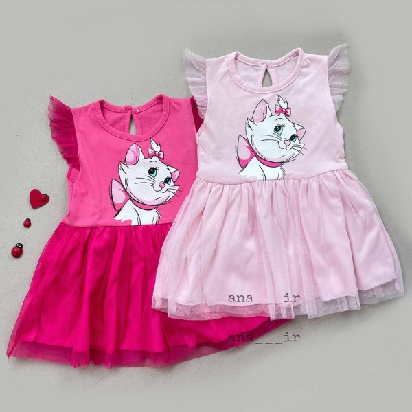 سارافون گربه اشرافی