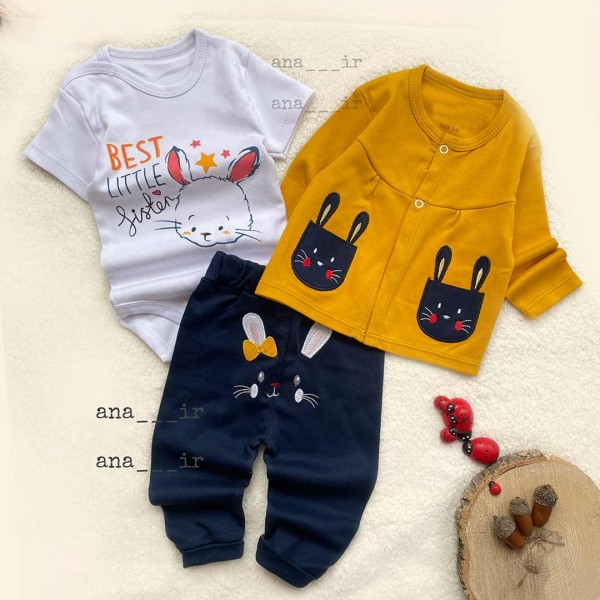 سه تیکه خرگوش خردلی