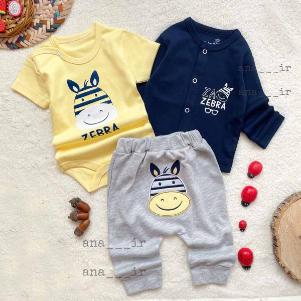 سه تیکه زبرا