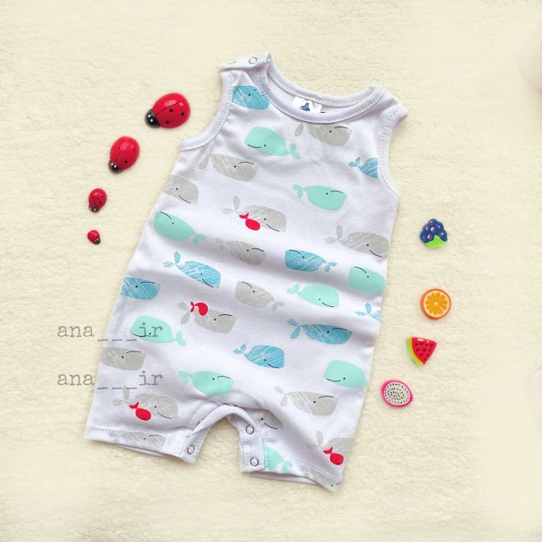 رامپر دلفین