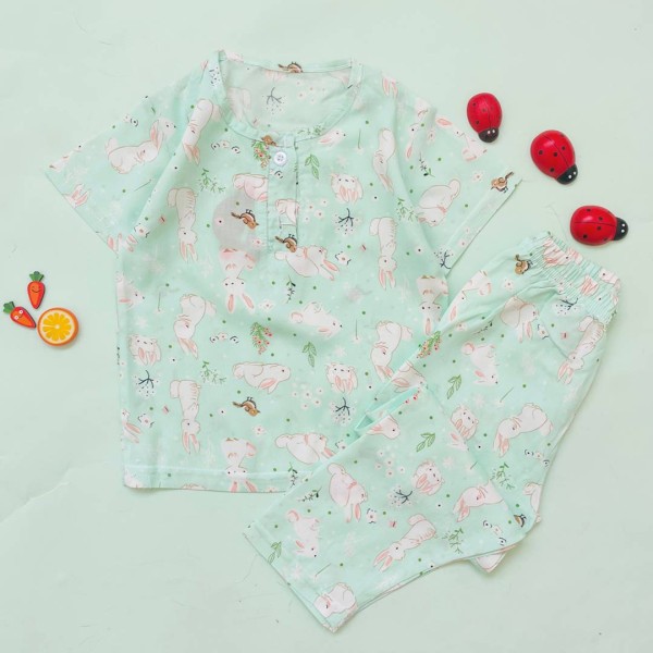 ست کولردار خرگوشک سبزابی