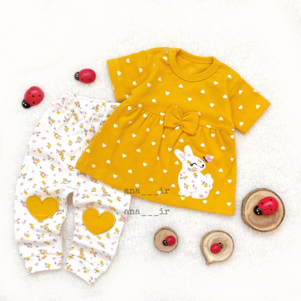 دوتیکه خرگوش زرد