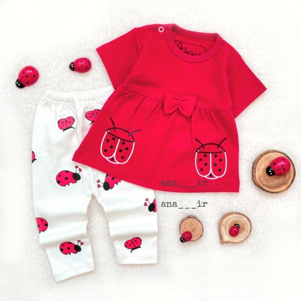 دوتیکه کفشدوزکی